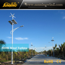 Windy Area Wind Solar Street Light System Power Supply Small Wind Turbine